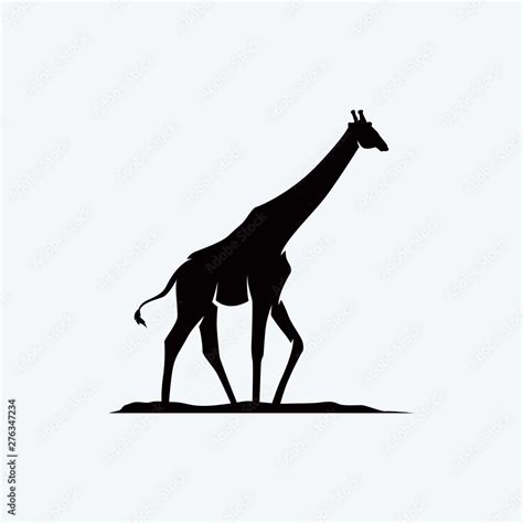 Black Giraffe Vector Illustration Giraffe Silhouette Africa African