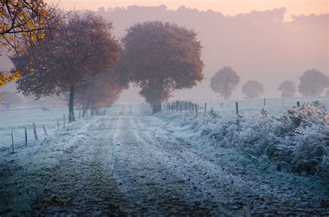 fence, Trees, Autumn, Road, Grass Wallpapers HD / Desktop and Mobile ...