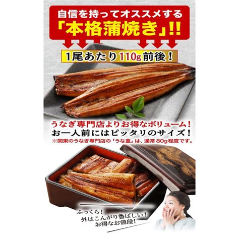 ギフト うなぎ 蒲焼き 国産 プレゼント 鹿児島産 ブランド鰻 送料無料 極上長蒲焼き2本 ギフトbox グルメ クール Gnky02