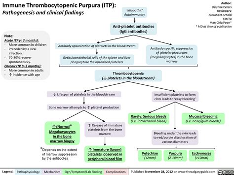 Immune Thrombocytopenic Purpura ITP Calgary Guide