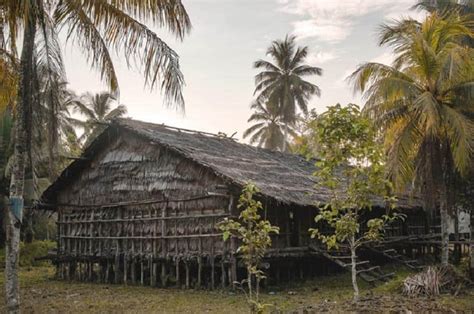 8 Jenis Rumah Adat Papua, Ada yang Tertinggi di Dunia Lho!