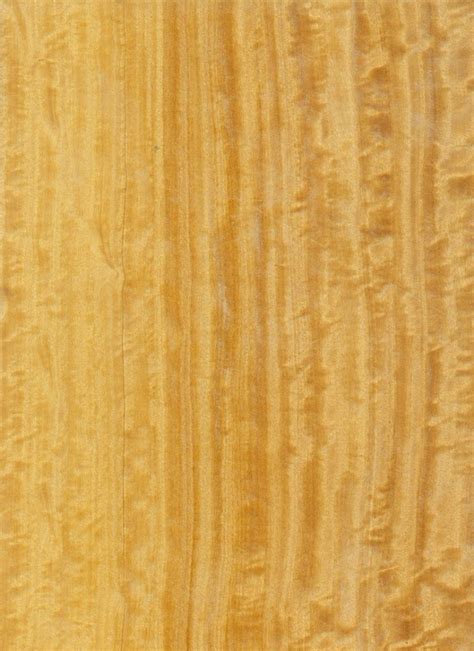 Satinwood | February 2020 | M. Bohlke Corp. | Veneer and Lumber