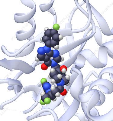 Space Filling Model Of Ft Stock Image C Science Photo