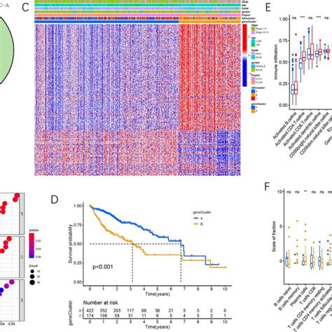 Construction Of Differential Expression Of M6a Gene Signatures And