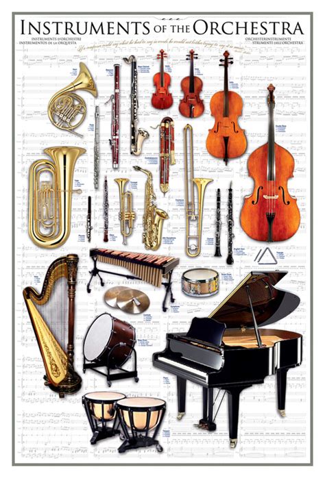 Instruments of the orchestra Poster, Plakat | Kaufen bei Europosters