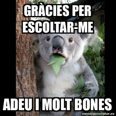 Meme Koala Gr Cies Per Escoltar Me Adeu I Molt Bones