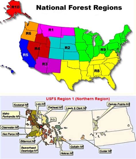 USFS bans exploding targets in their Northern Region - Wildfire Today