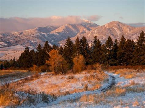 The 12 Best Hotels in Bozeman, Montana – Wandering Wheatleys