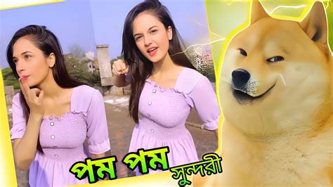 পম পম সুন্দরী রোস্টেড Anamik Aoyshe Roasted Youtube