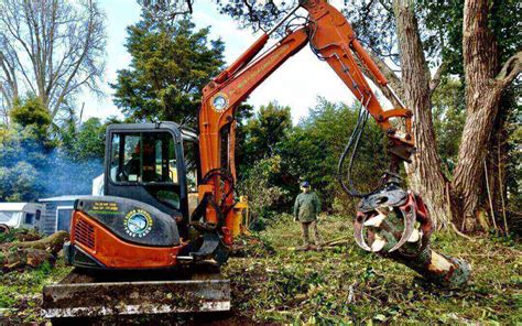 Why Should I Hire A Professional Arborist A1 Sure Services Arborist