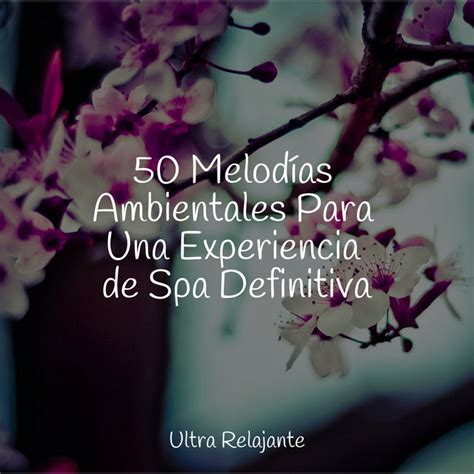 50 Melodías Ambientales Para Una Experiencia de Spa Definitiva Album