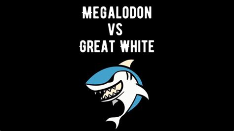 Megalodon vs Great White Shark: A Comparative Exploration - Shark Truth