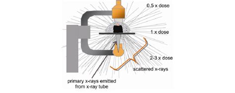 Primary Beam Radiation Definition The Best Picture Of Beam