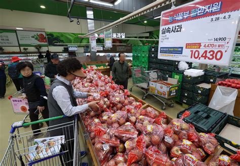 올해도 불안 사과·배 등 6대 과일 재배면적 1 감소 이투데이