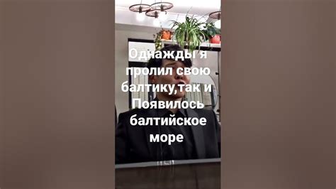 Чиф киф - YouTube