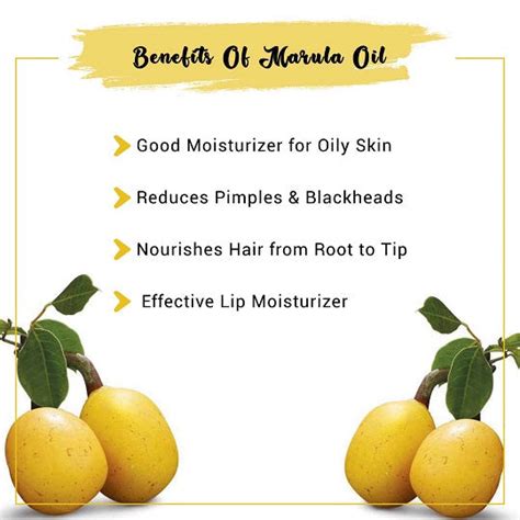 Buy Marula Oil Online At Best Price Marula Oil Usa Bulk Manufacturer