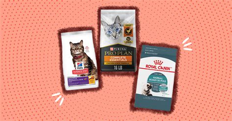 The 21 Best Dry Cat Foods Of 2023 With Guidance From Vets Atelier