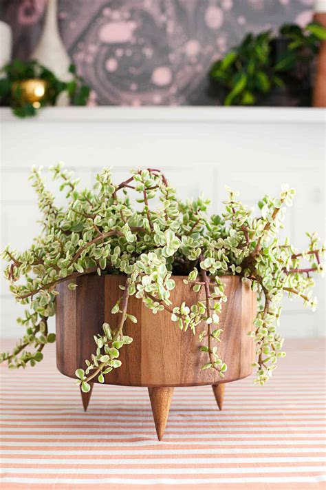 How To Make A Wooden Flower Pot Holder Best Flower Site