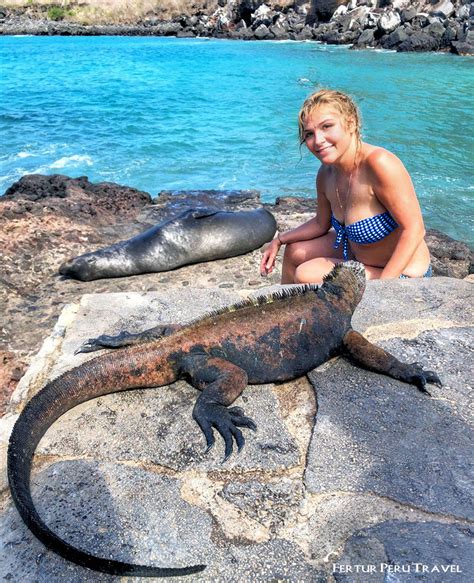 The Ultimate Galapagos Islands And Machu Picchu Tour