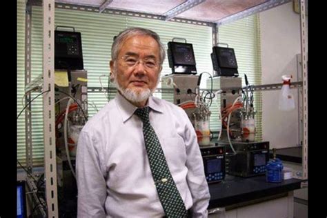 Yoshinori Ohsumi: A deserving winner of the Nobel Prize for physiology ...