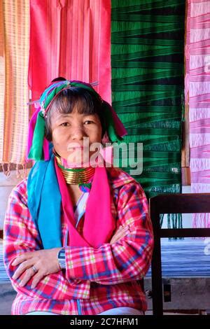 Padaung Long Necked Woman With Brass Neck Rings Portrait Hill Tribes