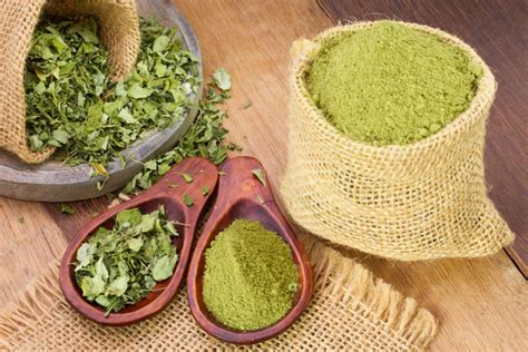 Moringa Wirkungen Anwendungen Des Wunderbaums Gesundfit De