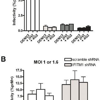 IFITM Proteins Restrict Direct And ADE Mediated Infection With Similar