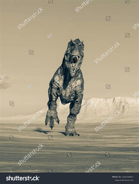 Giganotosaurus Running On Sunset Desert Front Stock Illustration 2162226851 Shutterstock