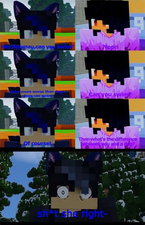 Aphmau Meme Aphmau Memes Aphmau Aphmau Characters