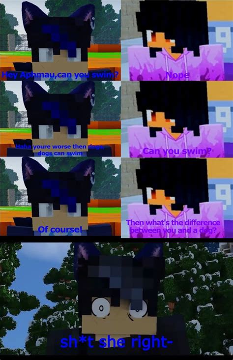 Aphmau Meme Aphmau Aphmau Memes Aphmau Fan Art