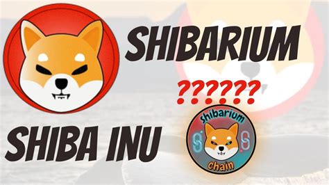 SHIBARIUM C Est Quoi Quel Impact Sur SHIBA INU YouTube