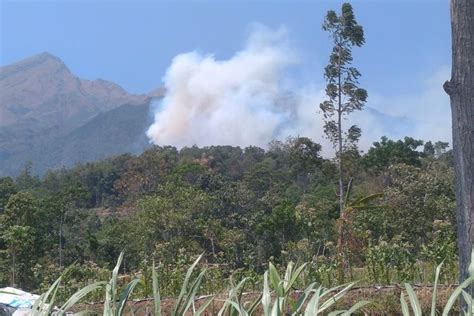 Lahan Di Gunung Merbabu Yang Terbakar Seluas 848 5 Hektar