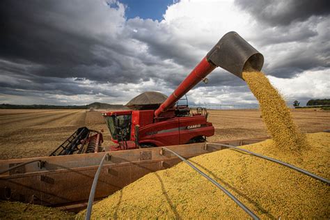 Taxa O Do Agro Pode Gerar Preju Zos Ao Lucro Do Produtor Rural