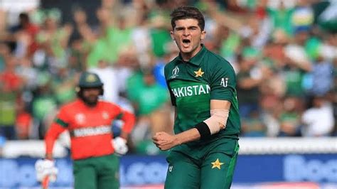 Shaheen Afridi Profile Age Career Info News Stats Records And Videos