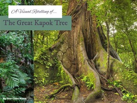 Book Creator A Visual Retell Of The Great Kapok Tree