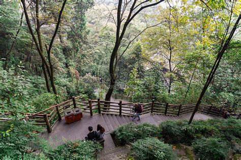 Dujiangyan Irrigation System Picture And HD Photos | Free Download On Lovepik