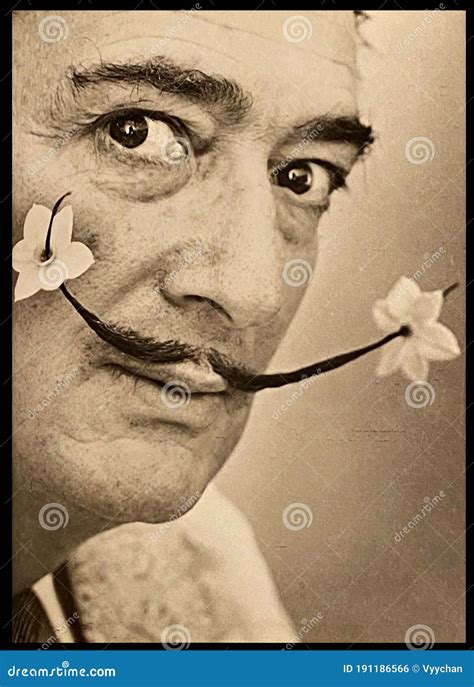 Surrealism Salvador Dali S Mustache Philippe Halsman Miro Mobile Art