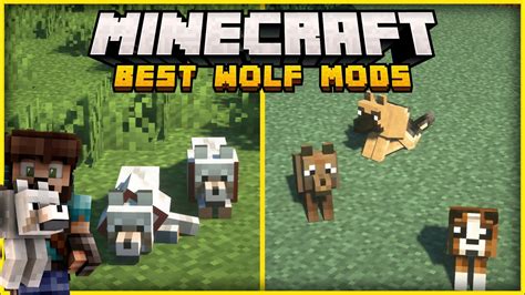 10 Great Minecraft Mods That Change Wolves YouTube