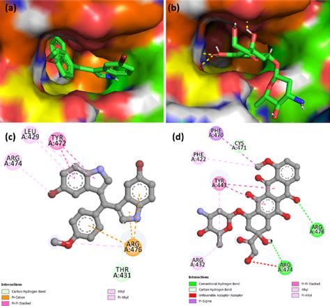 Docking Pose Of A Compound 1f And B Doxorubicin And Binding Download Scientific Diagram