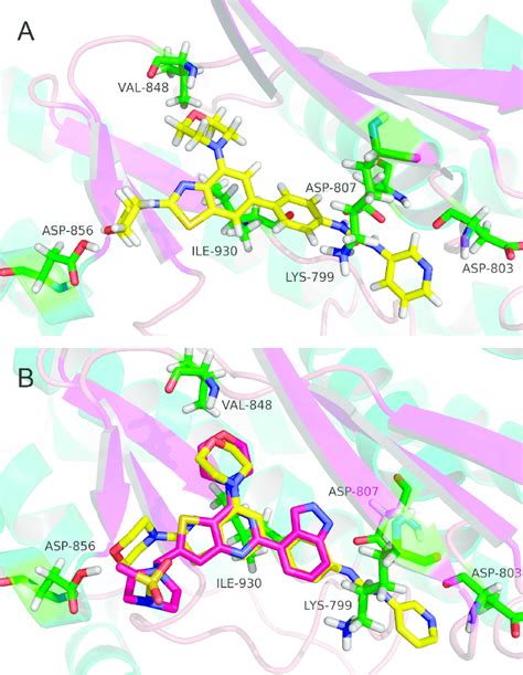 A Schematic Of The Binding Mode Of Compound With Pi K Kinase