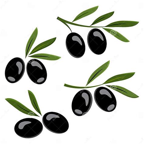 Set Of Black Olives Vector Illustration Stock Illustration