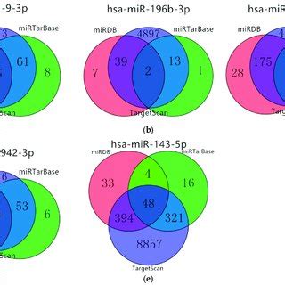 Venn Diagram Of Target Genes A Hsa Mir P B Hsa Mir P C