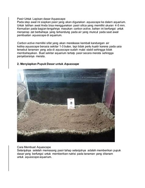 Cara Membuat Aquascape Di Aquarium Dengan Cara Yang Mudah PDF