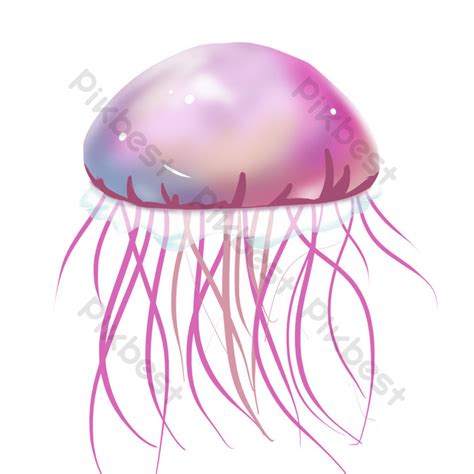 Pink Jellyfish PNG Images | PSD Free Download - Pikbest