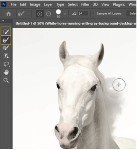 How To Vectorize An Image In Photoshop Detailed Guide