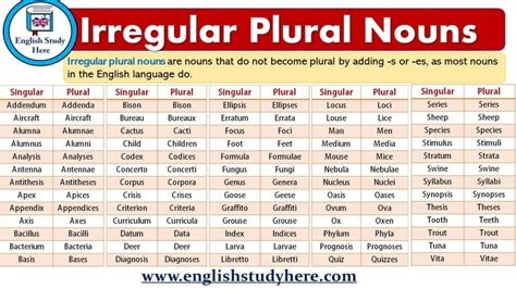 Irregular Plural Nouns English Study Here