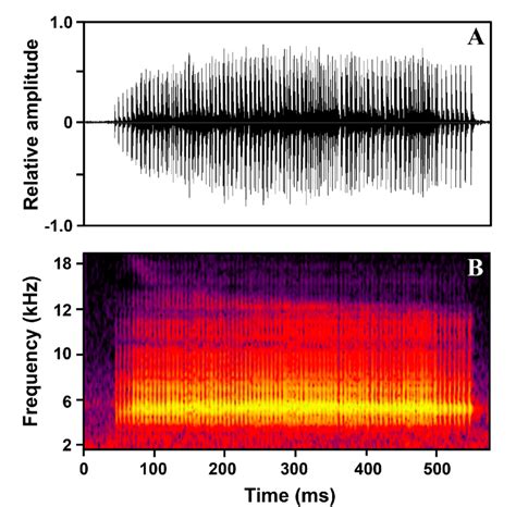 Oscillogram A And Spectrogram B Of The Advertisement Call Of