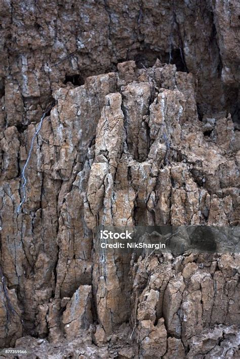Sedimentary Rock Sequence With Roots Close Up Stock Photo Download