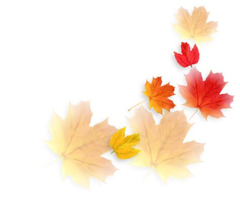 Autumn Falling Leaves Decoration Element Png