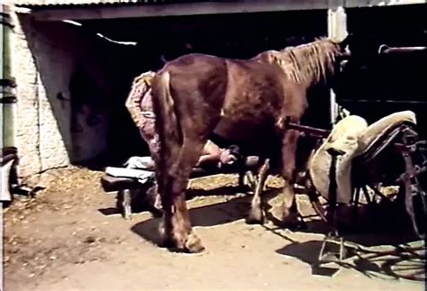 L Amore E La Bestia 1985 Free Porn Video 2b XHamster